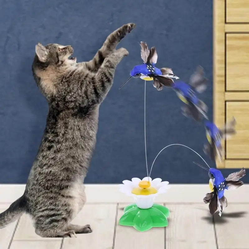 "FlutterWing Pet Toy"